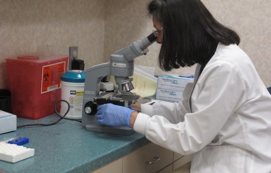 health-screening Hall County Health Department, screens patient samples