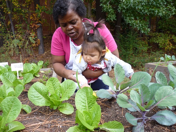 Evelyn Chanda, who teaches at the Elaine Clark Center in Atlanta, holds Amelia Looper over a raised bed of cauliflower and cabbages in the center’s sensory garden. Photo by Tom Oder