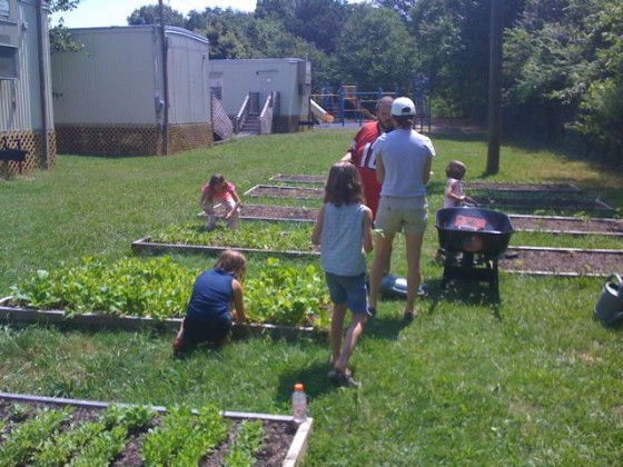 Sope Creek students, parents and faculty take care of their school's produce. Photo courtesy of Natalie Rogers