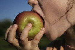 eating apple fresh fruit healthy