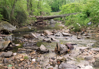 Proctor Creek
