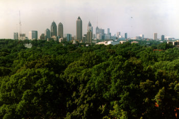 Trees in Atlanta