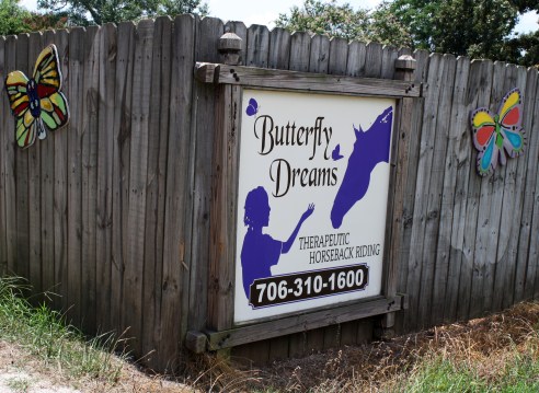 butterflydreams