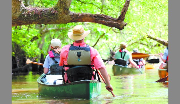 Kayakers paddle on Ogeechee this year. Photo by Savannah Morning News.