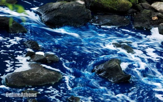 Trail Creek contamination. Photo from Banner-Herald